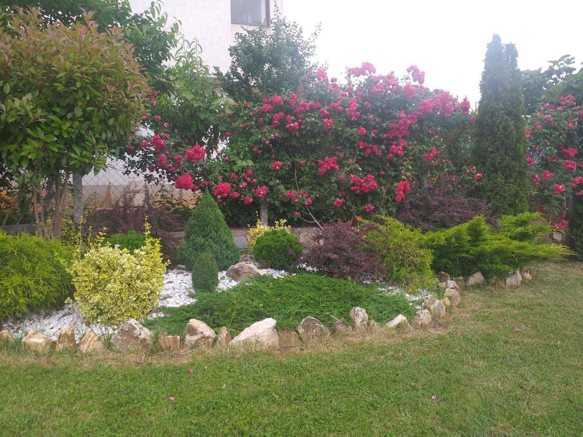 Villa Silva Ohri